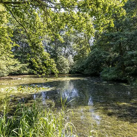 Lejlighed Nouveaute *